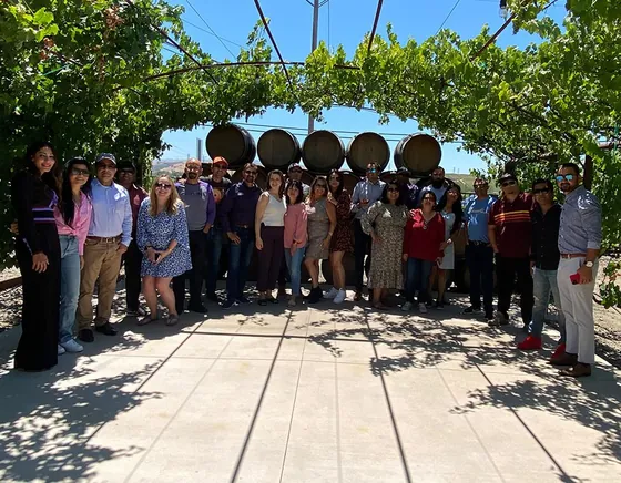 BayOne team outing under a vineyard pergola